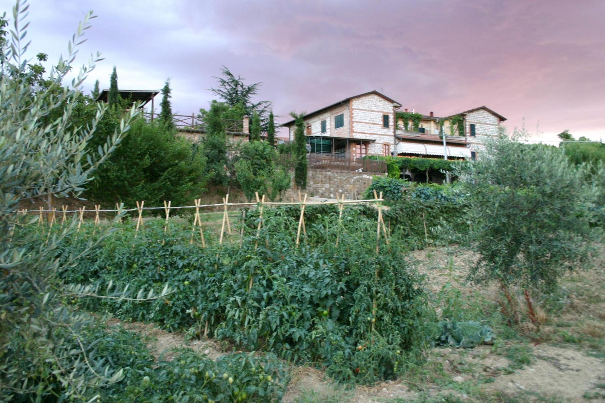 Agriturismo La Pietriccia К'янчіано-Терме Екстер'єр фото
